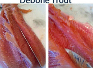 Debone Trout